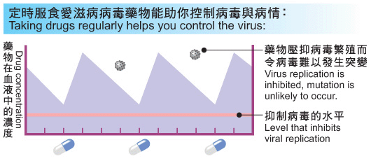 定時服食愛滋病病毒藥物能助你控制病毒與病情