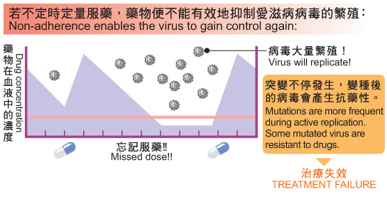 若不定時定量服藥，藥物便不能有效地抑制愛滋病病毒的繁殖